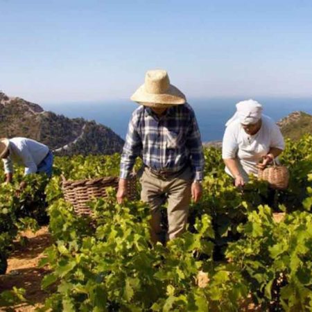 Πληρωμή Β’ προκαταβολής Εσοδείας 2016