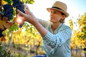 Εικόνα του Katerina Monroe