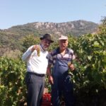 KOSHER MEVUSHAL WINES FROM SAMOS