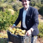 KOSHER MEVUSHAL WINES FROM SAMOS